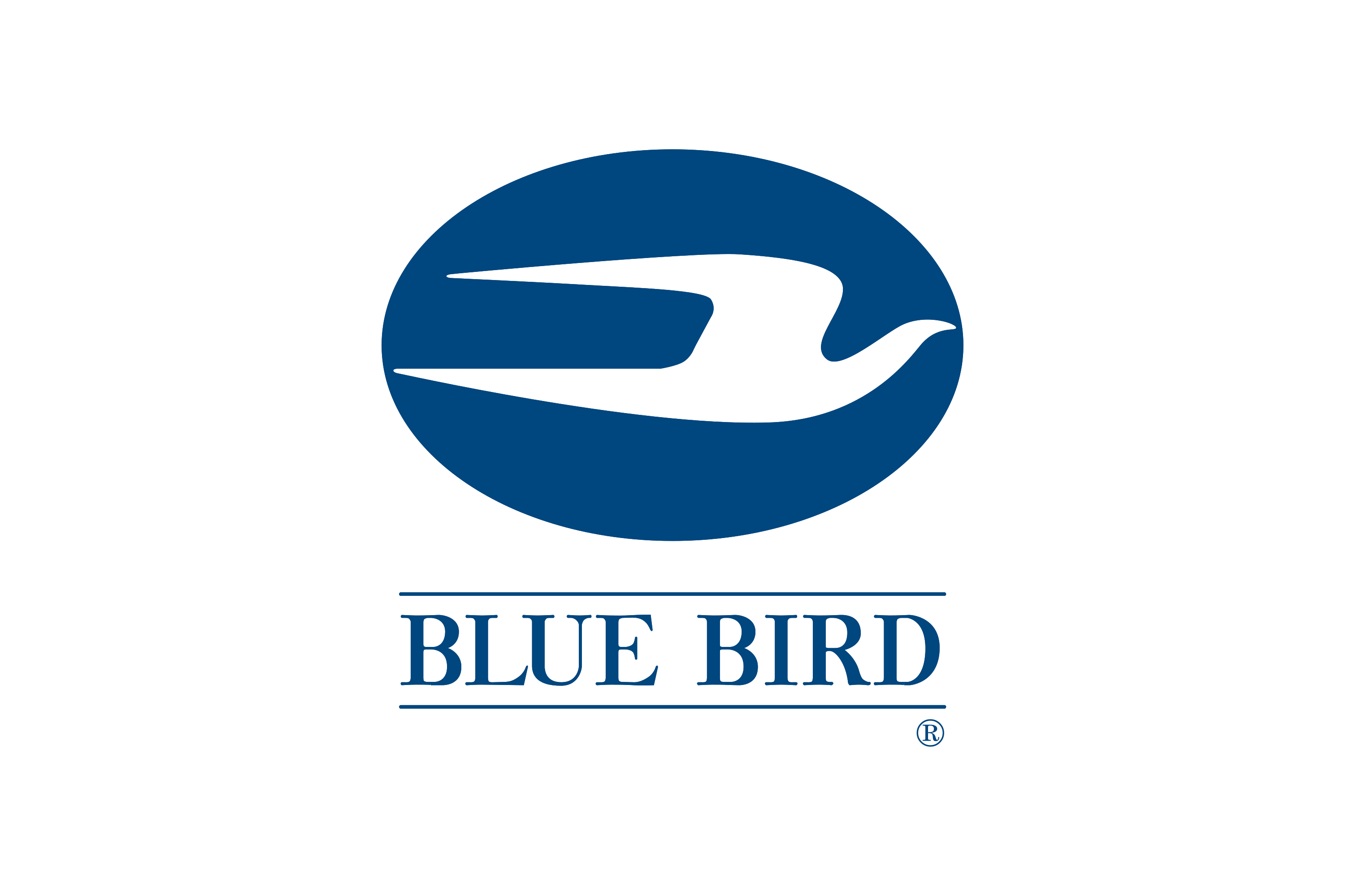 Blue Bird